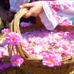 آبشار نیاسر و جشنواره گلاب گیری