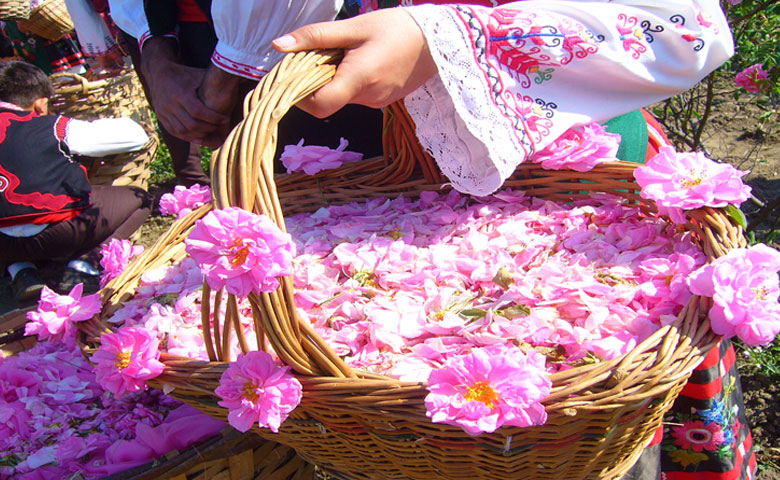 آبشار نیاسر و جشنواره گلاب گیری