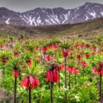 تور یک روزه خوانسار